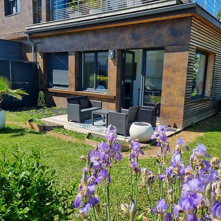 Appartement Cozy 1 Panoramique Lac Leman Тонон-ле-Бен Экстерьер фото