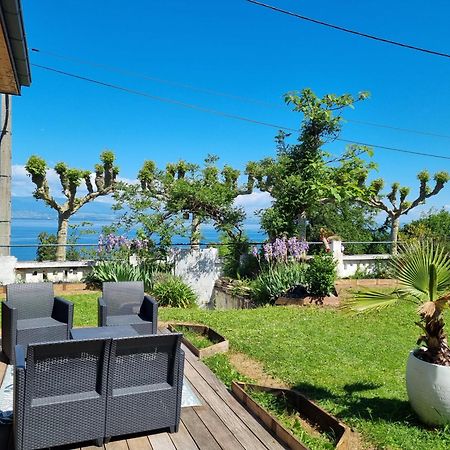 Appartement Cozy 1 Panoramique Lac Leman Тонон-ле-Бен Экстерьер фото