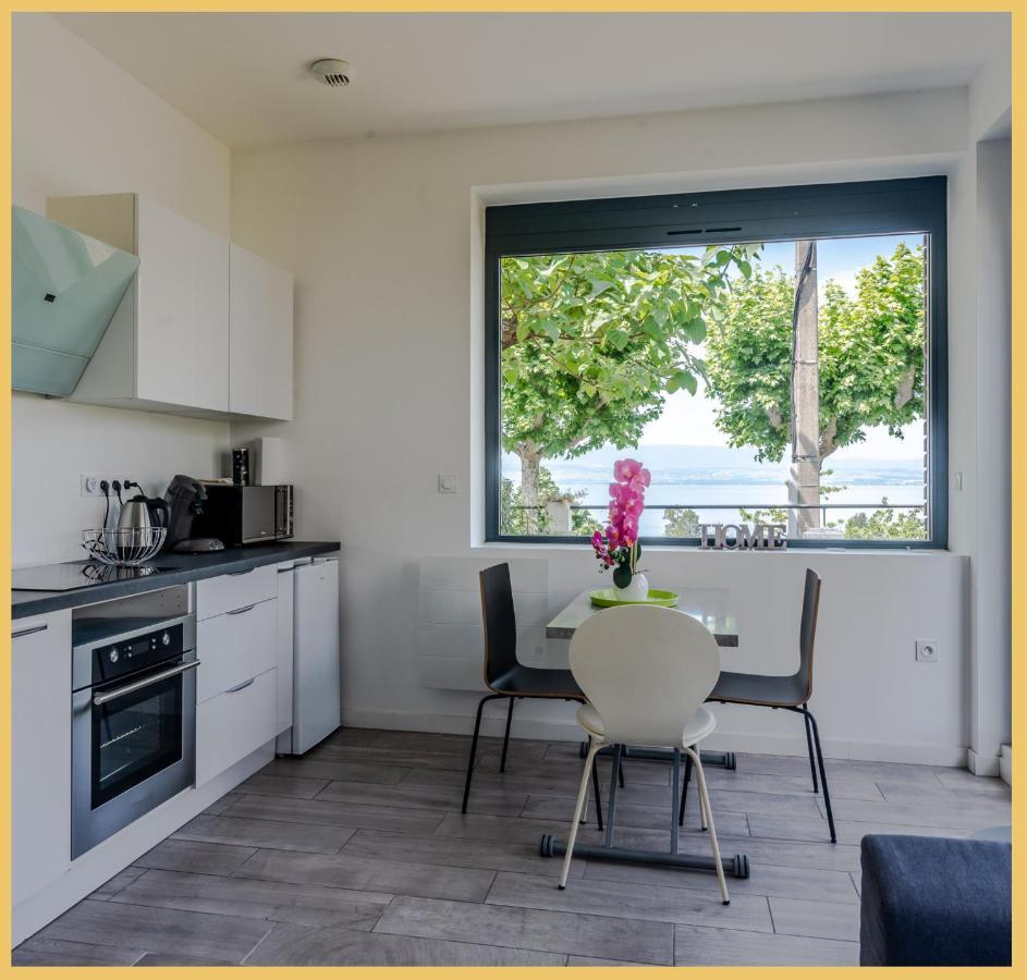Appartement Cozy 1 Panoramique Lac Leman Тонон-ле-Бен Экстерьер фото