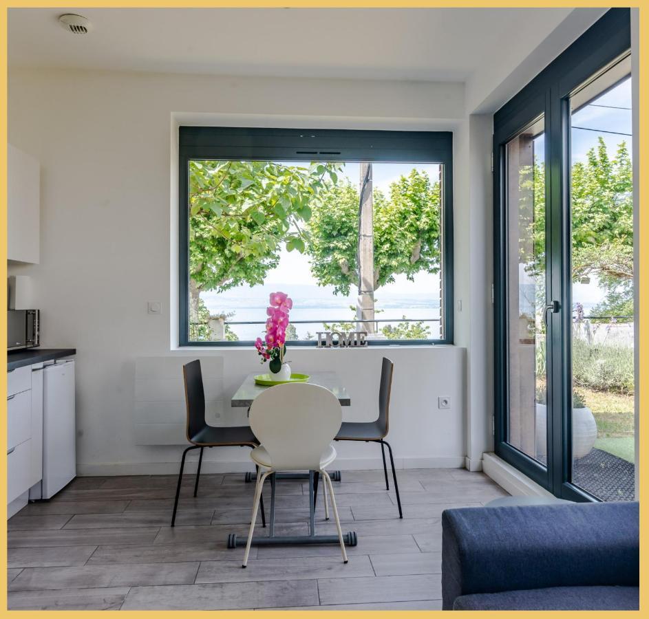 Appartement Cozy 1 Panoramique Lac Leman Тонон-ле-Бен Экстерьер фото