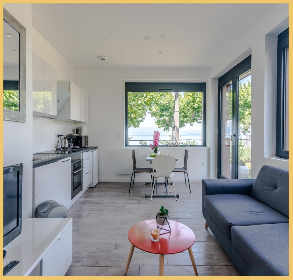 Appartement Cozy 1 Panoramique Lac Leman Тонон-ле-Бен Экстерьер фото